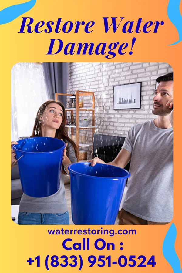 water restoration Sentinel Restoration Solutions Specialists Plain View