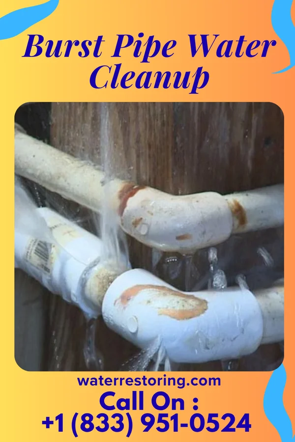 Burst Pipe Water Cleanup in Plain View, NC