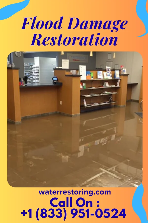 Flood Damage Restoration in Plain View, NC