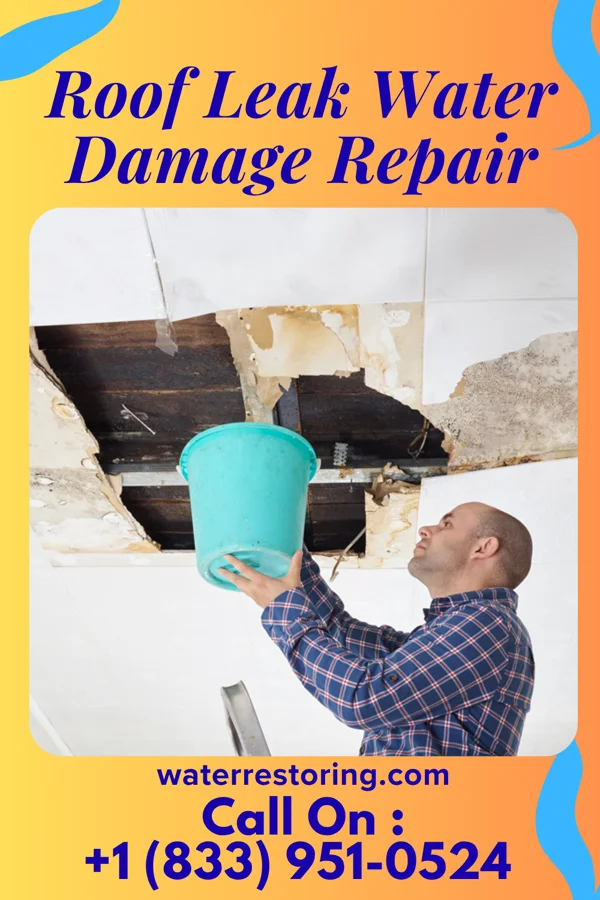 Roof Leak Water Damage Repair in Plain View, NC