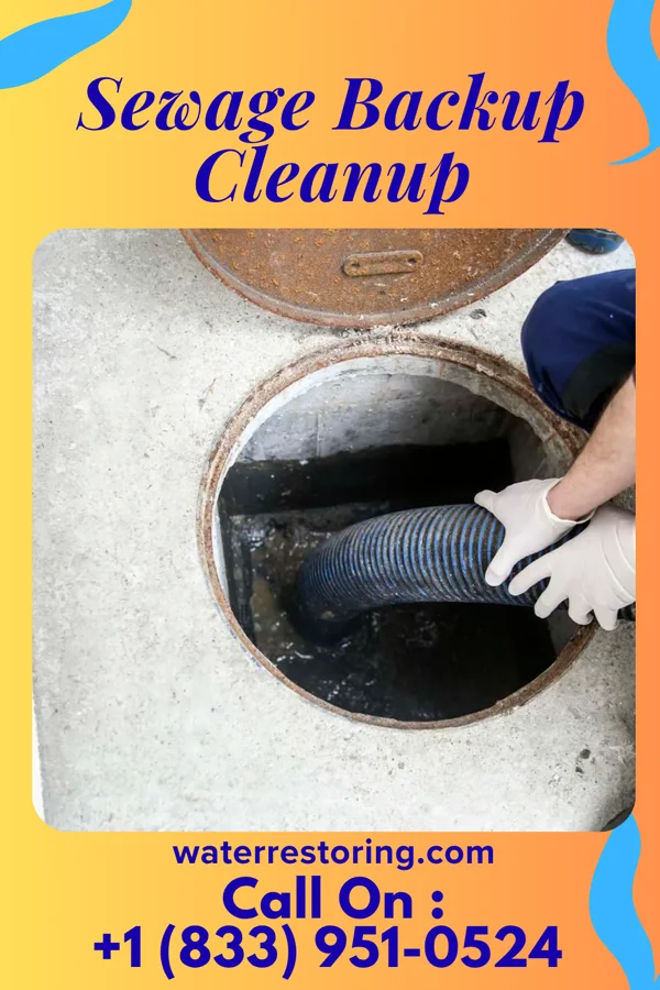 Sewage Backup Cleanup in Plain View, NC