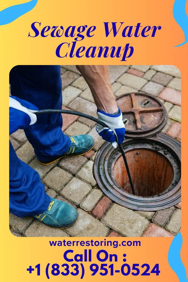 Sewage Water Cleanup in Plain View, NC
