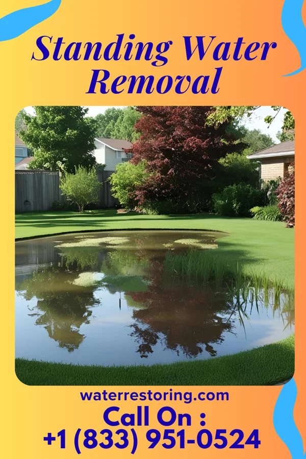 Standing Water Removal in Plain View, NC